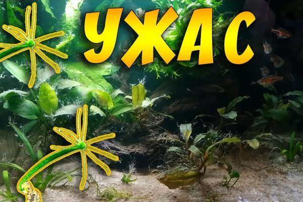 Купить наркотики москва
