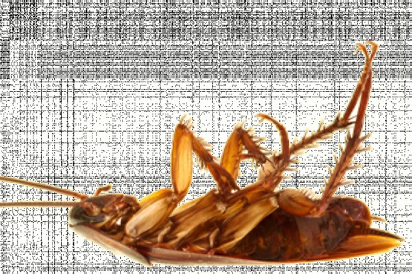 Кракен ссылка тор kr2web in