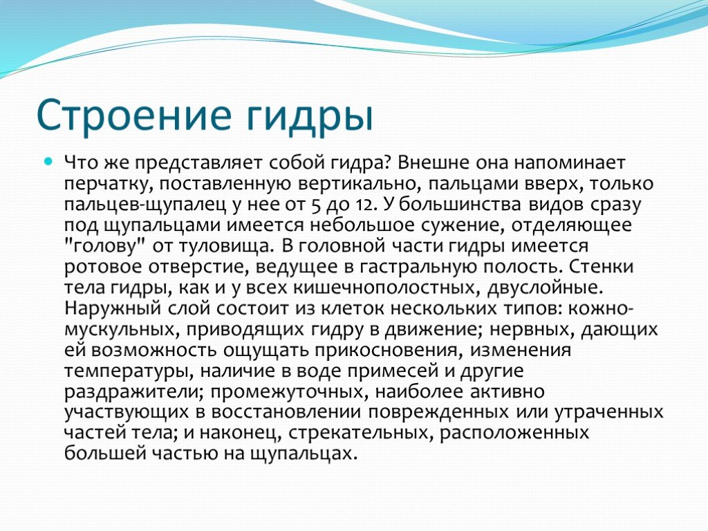 Ссылки на кракен at